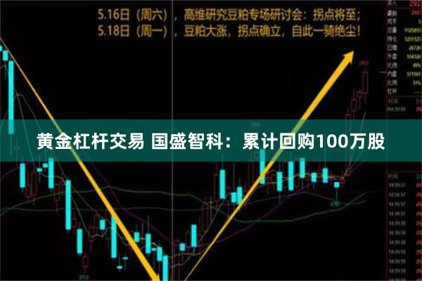 黄金杠杆交易 国盛智科：累计回购100万股