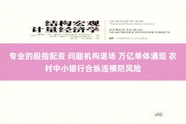 专业的股指配资 问题机构退场 万亿单体涌现 农村中小银行合纵连横防风险