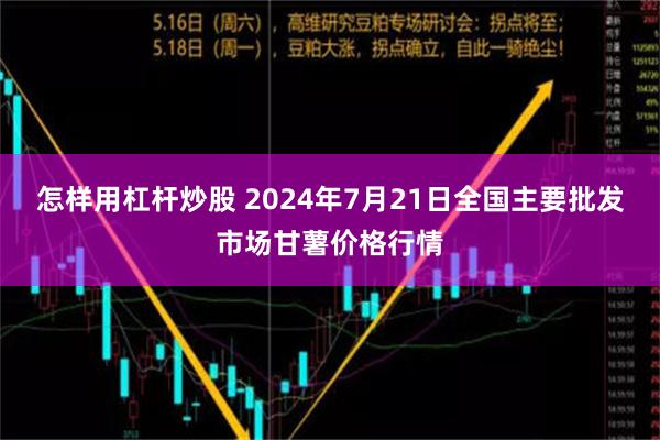 怎样用杠杆炒股 2024年7月21日全国主要批发市场甘薯价格行情