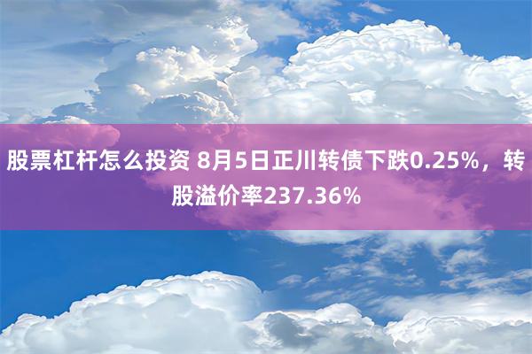 股票杠杆怎么投资 8月5日正川转债下跌0.25%，转股溢价率237.36%