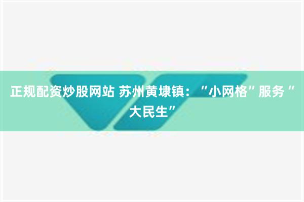 正规配资炒股网站 苏州黄埭镇：“小网格”服务“大民生”