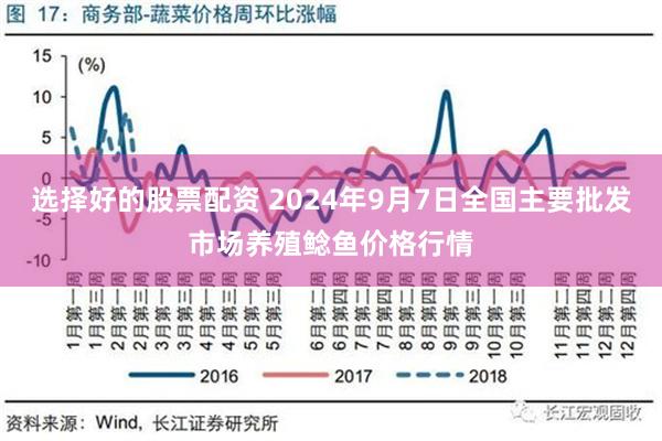 选择好的股票配资 2024年9月7日全国主要批发市场养殖鲶鱼价格行情