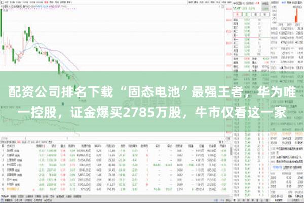 配资公司排名下载 “固态电池”最强王者，华为唯一控股，证金爆买2785万股，牛市仅看这一家