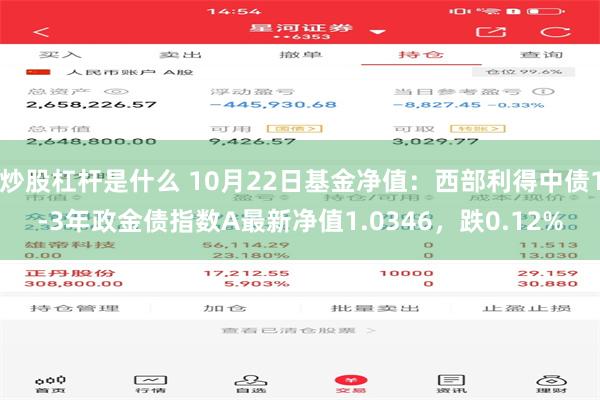 炒股杠杆是什么 10月22日基金净值：西部利得中债1-3年政金债指数A最新净值1.0346，跌0.12%