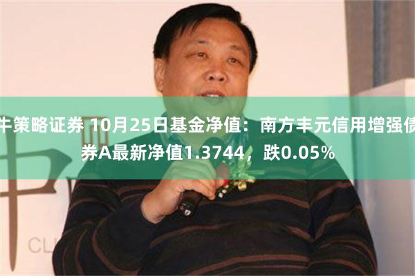 牛策略证券 10月25日基金净值：南方丰元信用增强债券A最新净值1.3744，跌0.05%