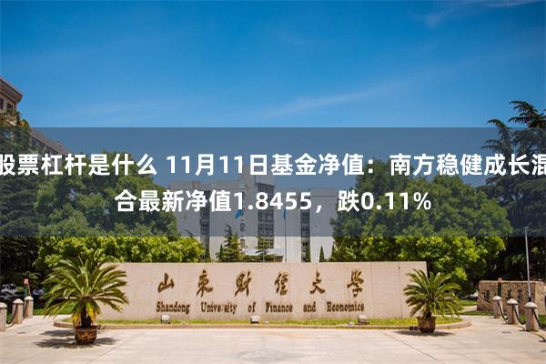 股票杠杆是什么 11月11日基金净值：南方稳健成长混合最新净值1.8455，跌0.11%