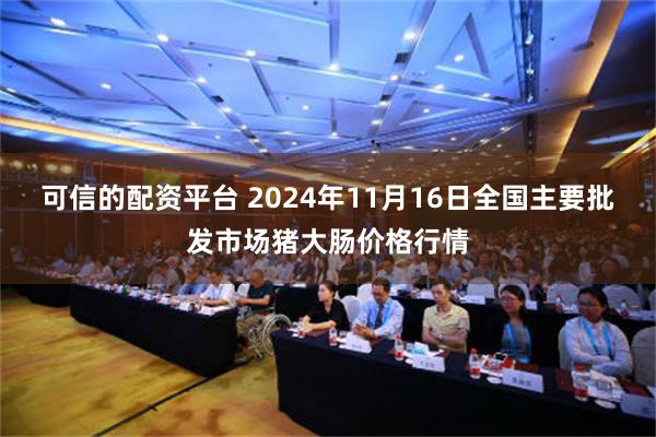 可信的配资平台 2024年11月16日全国主要批发市场猪大肠价格行情