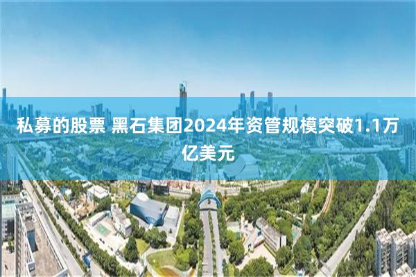 私募的股票 黑石集团2024年资管规模突破1.1万亿美元