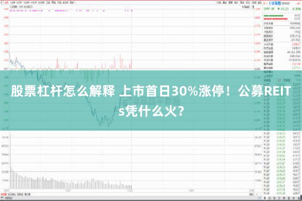 股票杠杆怎么解释 上市首日30%涨停！公募REITs凭什么火？